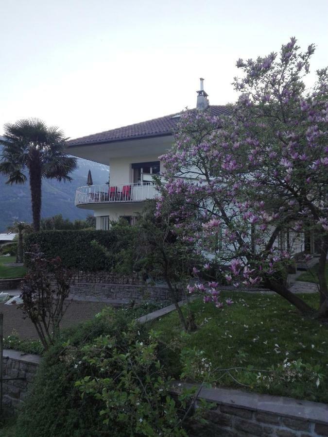 Torilan Apartment แตร์ลาโน ภายนอก รูปภาพ